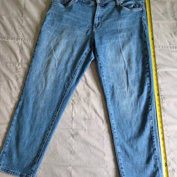 Pilcro Denim - Anthropologie Pilcro Slim Boyfriend Jeans Plus 20W